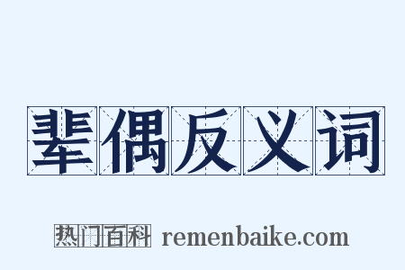 辈偶反义词是什么意思的图片
